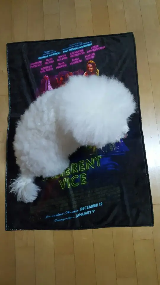 가로 양모 담요 (S)  제작 후기 선물용으로 담요, 컵, 티셔츠 3개 주문했습니다.
물론 전 마플을 꾸준히 애용하고 있구요.

직원분들의 정성이 정말 대단한것 같습니다.
피드백도 꼼꼼 하셔서 감사했습니다.

번거롭겠지만 더욱 많은 주문 하겠습니다.^^- 마플 리얼 후기
