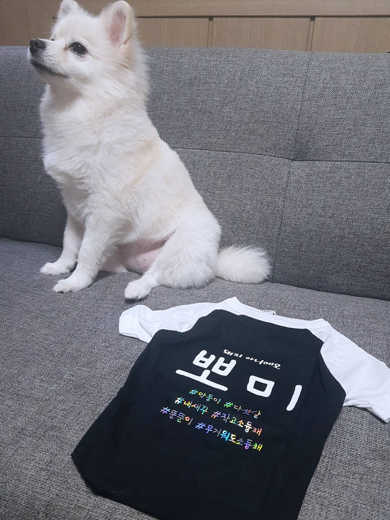 아메리칸어패럴 강아지 나그랑 티셔츠 M / S 구매 제작 후기 너무예뻐요 !! 홀로그램 생각보다더예뻐서놀랫어요- 마플 리얼 후기