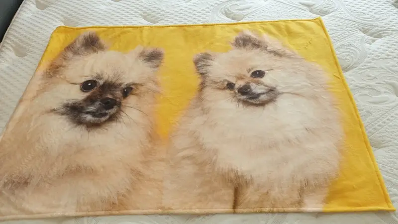 세로 양모 담요 (M) 70x100cm 구매 제작 후기 이렇게 고퀄로 제작되다니 너무 놀랍습니다!! 저희 댕댕이가 살이있는듯한 퀄리티!! 양모담요로 제작하길 잘한것같아요!! 회사가 벌써 추운것같아서 오늘 개시했는데 다들 어디서 만든거냐고 물어보시더라구요~^^뿌듯 ㅋㅋ사랑하는 댕댕이 얼굴보며 열일 할수있을것 같아요~~!!- 마플 리얼 후기