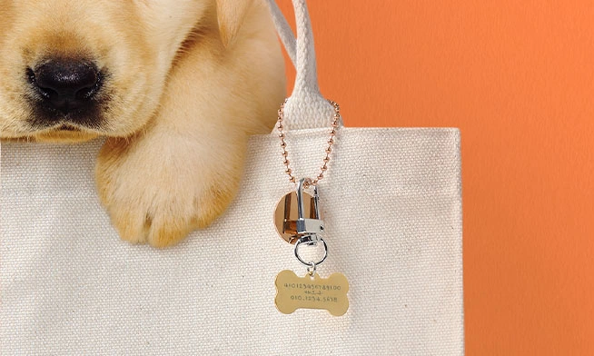 Unique Gifts 
for Dogs & Cats