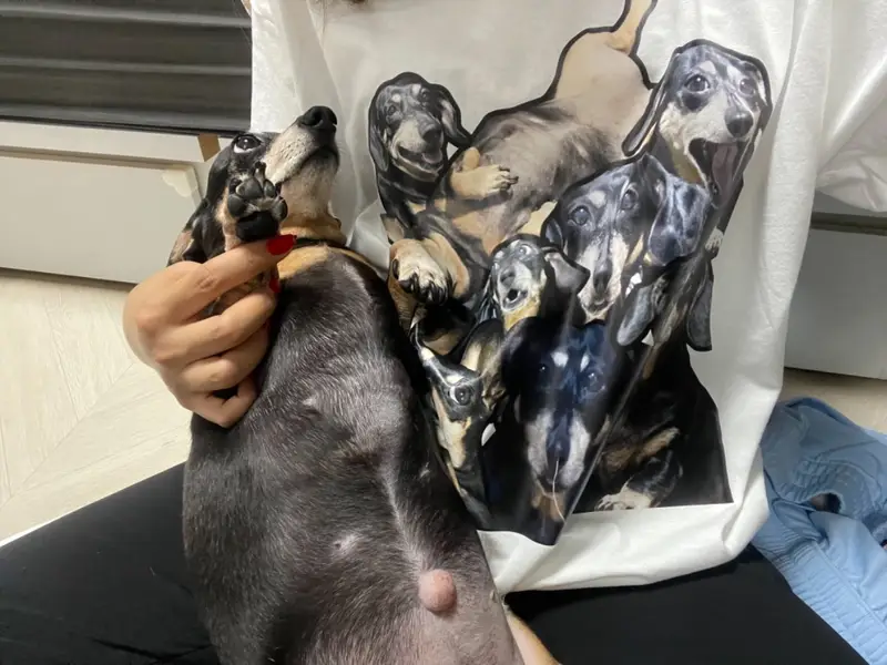 길단 2000 오리지널 티셔츠 XL 구매 제작 후기 너무 귀엽고 질도 좋아요 ㅠㅠ ! 택배가 너무 늦게 왔는데 지금 상황이 있어서 이해합니당 - 마플 리얼 후기