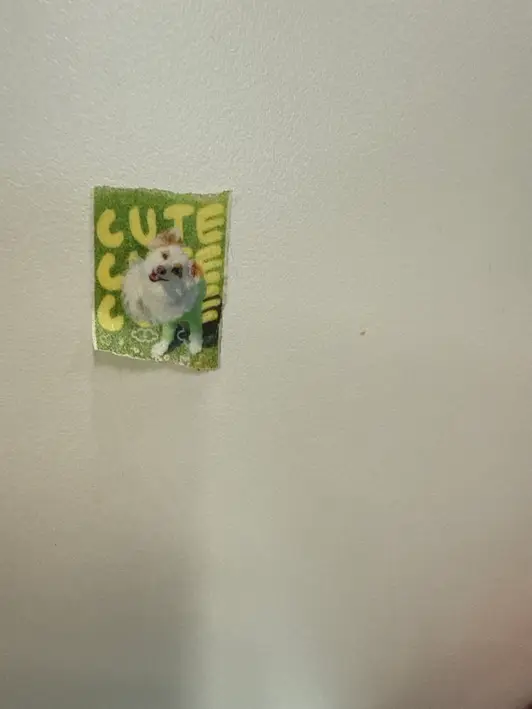 Masking Tape (0.79inch) Purchased 0.79inch 제작 후기 They are so cute and cheap, so I made several and gave them as gifts. - 마플 리얼 후기 
