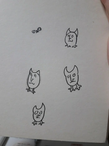 OWL-OWL