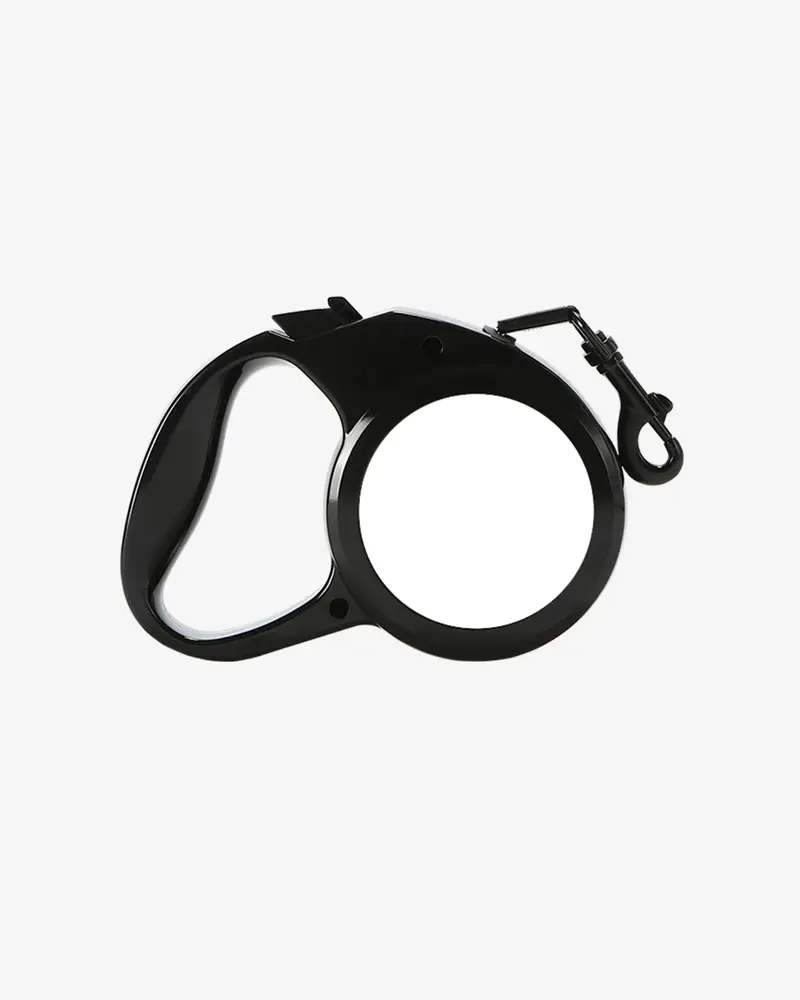Dog Leash (M)