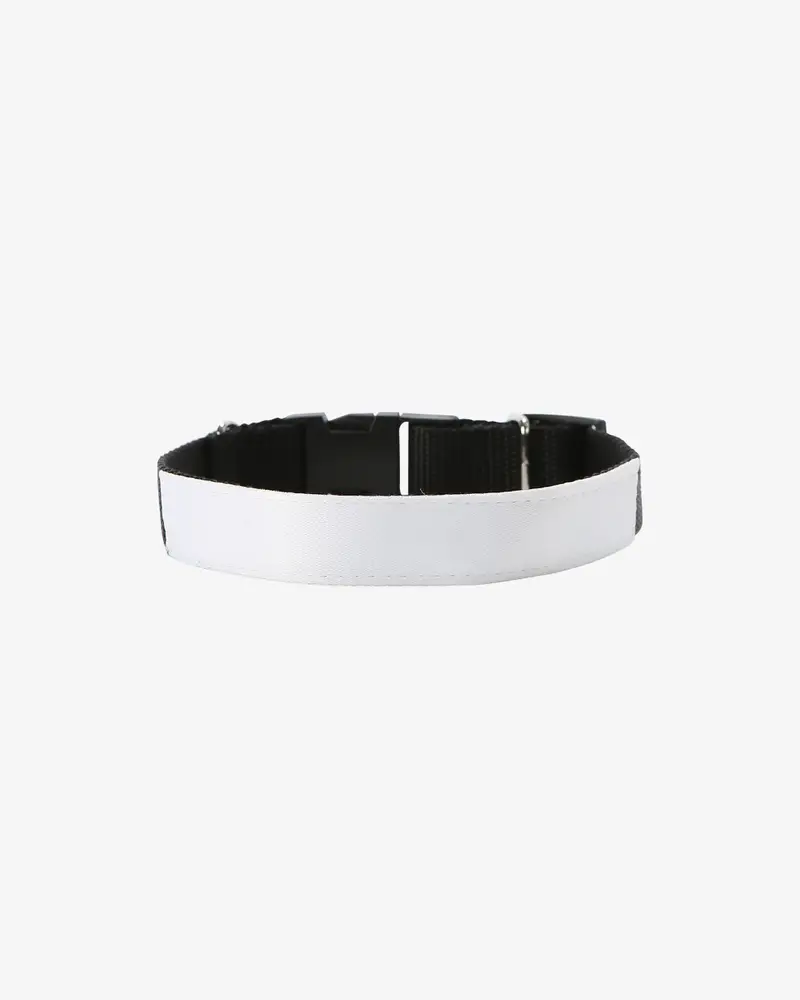 Dog Collar (M)