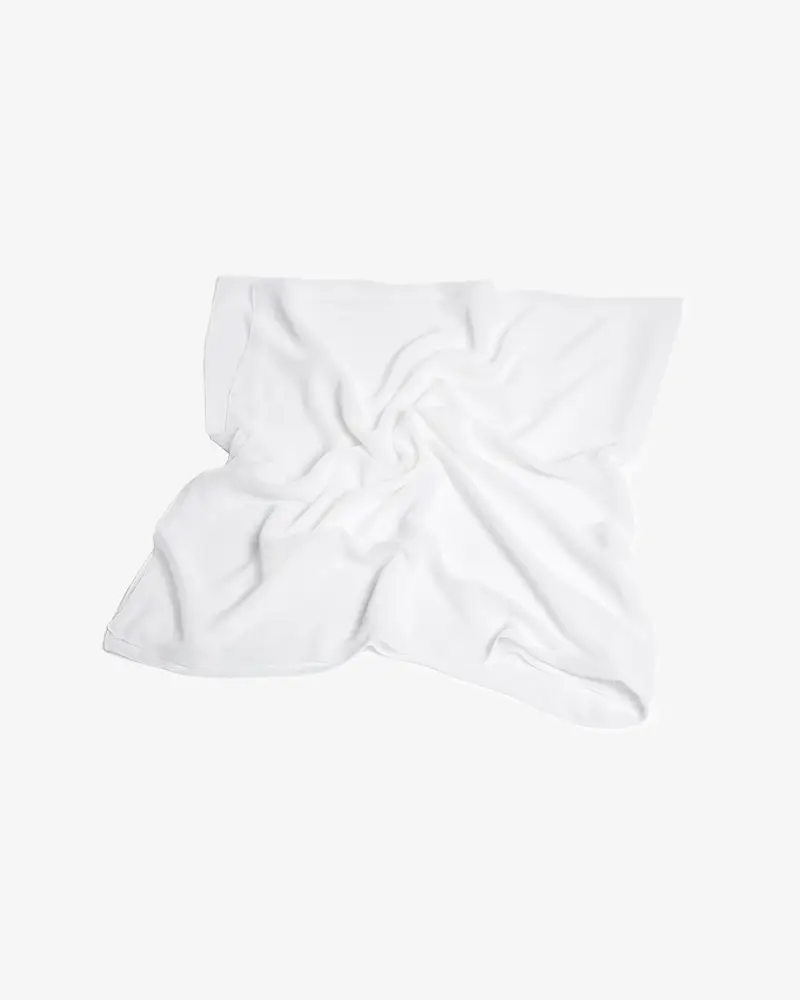 Sheer Chiffon Scarf (L)