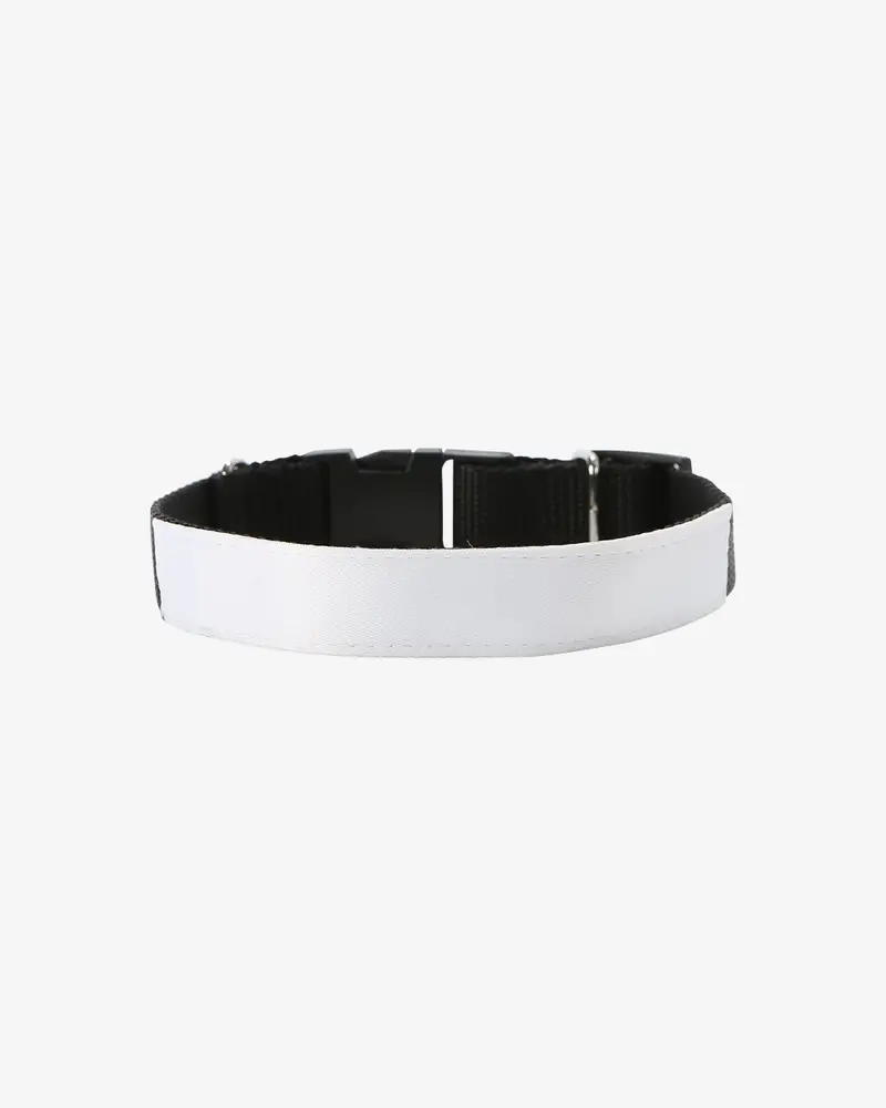 Dog Collar (L)