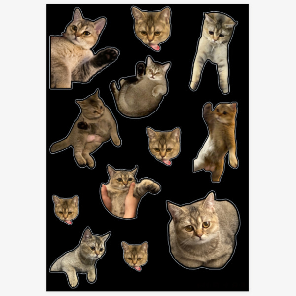 Cat Stickers, MARPPLESHOP GOODS