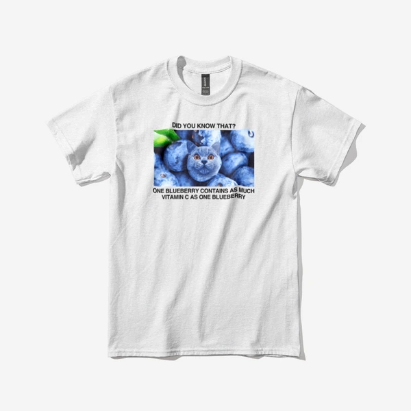 AETHERradio Apparel, Gildan Ultra Cotton 2000 Adult T-shirt
