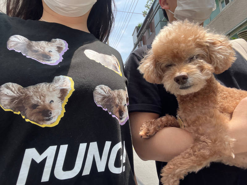 Printstar Premium Cotton Adult T-shirt Purchased L 제작 후기 It came out so cute. I'm satisfied.- 마플 리얼 후기