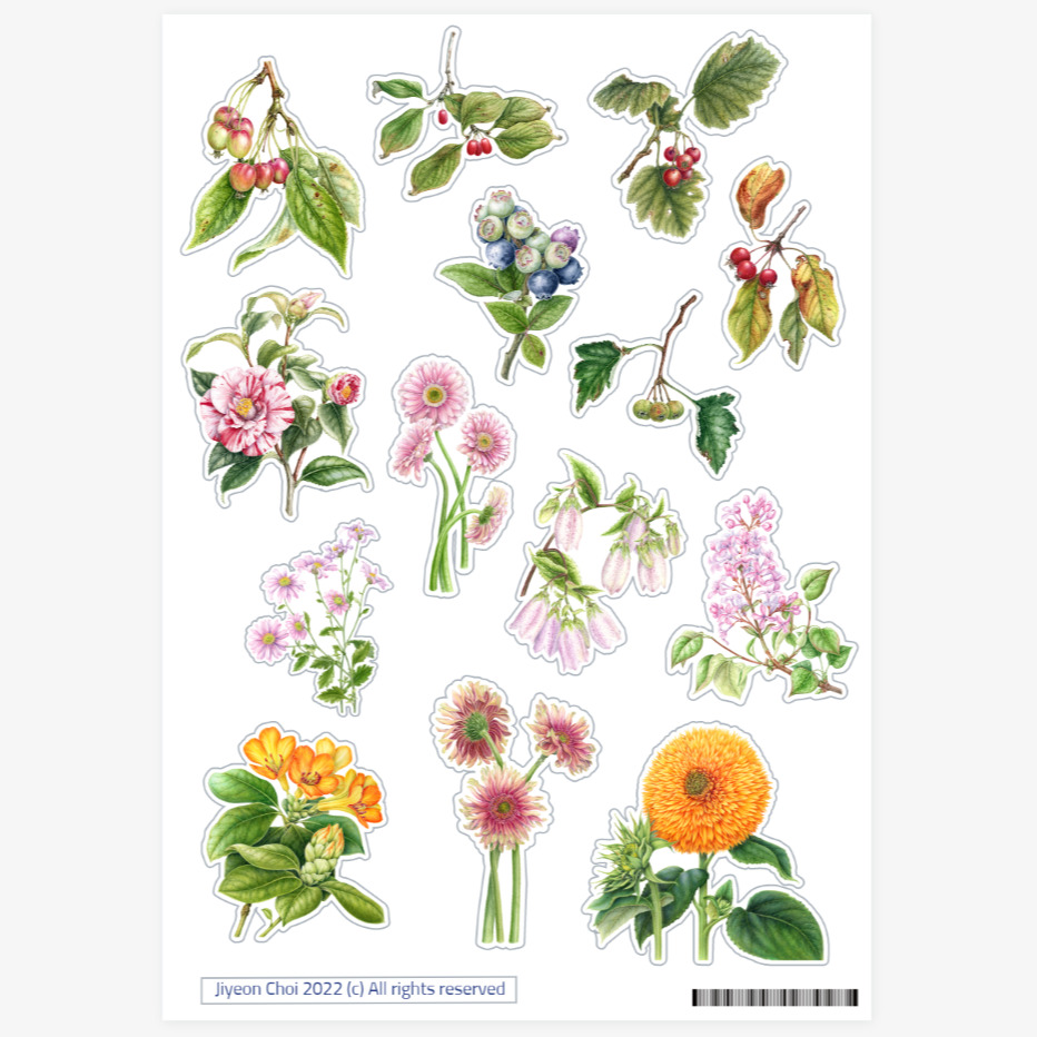 Vellum Botanical Flower Stickers
