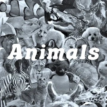 animalbuddy