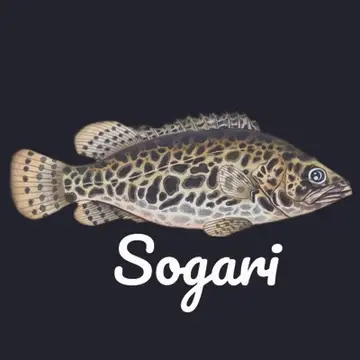 sogari