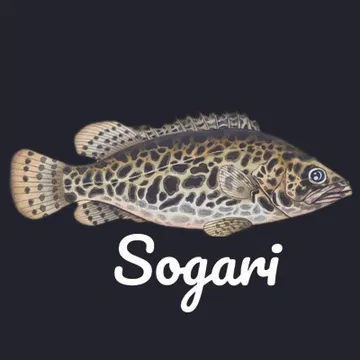 sogari