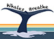 고래가숨쉬는 공식 굿즈샵 | 마플샵
