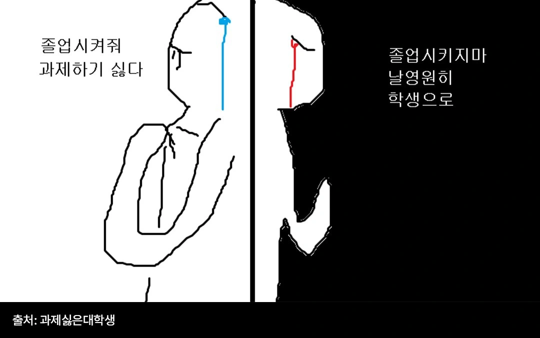 과제싫은대학생, 대학생짤, 대학생밈