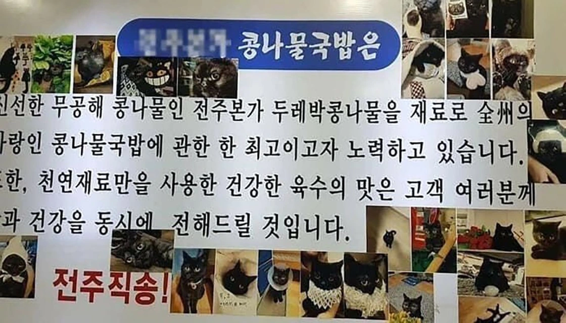 귀여운 고양이, 고양이 발바닥, 고양이 사진, 고양이 식빵, my cat is rockstar