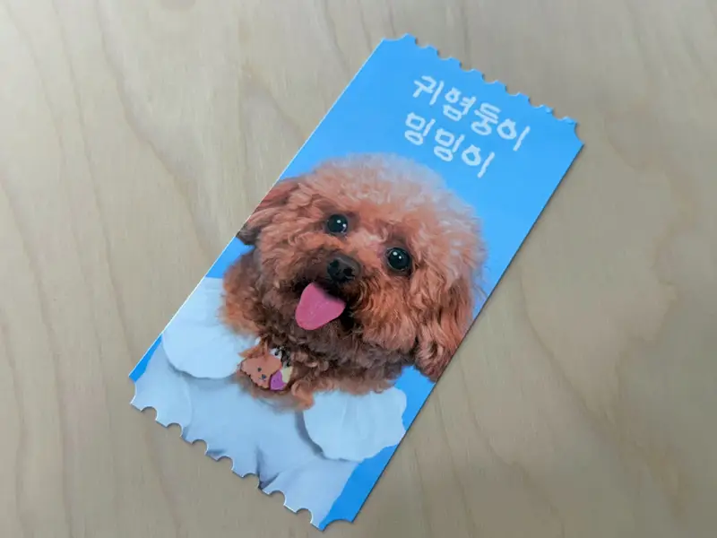 M형 티켓 14 x 7 cm 구매 제작 후기 저희 집 강아지 사진으로 M형 티켓을 커스텀 해 봤는데, 기대 이상으로 예쁘고 정말 만족스러웠어요!
앞면은 은은한 광택이 도는 코팅 마감 덕분에 실물로 보면 훨씬 더 고급스럽고, 인쇄 퀄리티도 아주 깔끔해요.
커스텀 과정도 간단해서 소중한 사진만 있으면 누구나 쉽게 만들 수 있다는 점이 큰 장점이에요.
귀여운 저희 집 강아지를 이렇게 예쁘게 간직할 수 있어서 더 특별하게 느껴졌어요.
세상에 하나뿐인 나만의 티켓이 된 기분! 소장용으로도, 선물용으로도 꼭 추천하고 싶어요 :)
* 직원이 실제 사용 후 작성한 리뷰입니다.- 마플 리얼 후기