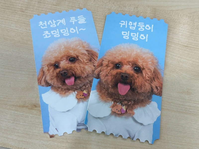 M형 티켓 14 x 7 cm 구매 제작 후기 저희 집 강아지 사진으로 M형 티켓을 커스텀 해 봤는데, 기대 이상으로 예쁘고 정말 만족스러웠어요!
앞면은 은은한 광택이 도는 코팅 마감 덕분에 실물로 보면 훨씬 더 고급스럽고, 인쇄 퀄리티도 아주 깔끔해요.
커스텀 과정도 간단해서 소중한 사진만 있으면 누구나 쉽게 만들 수 있다는 점이 큰 장점이에요.
귀여운 저희 집 강아지를 이렇게 예쁘게 간직할 수 있어서 더 특별하게 느껴졌어요.
세상에 하나뿐인 나만의 티켓이 된 기분! 소장용으로도, 선물용으로도 꼭 추천하고 싶어요 :)
* 직원이 실제 사용 후 작성한 리뷰입니다.- 마플 리얼 후기