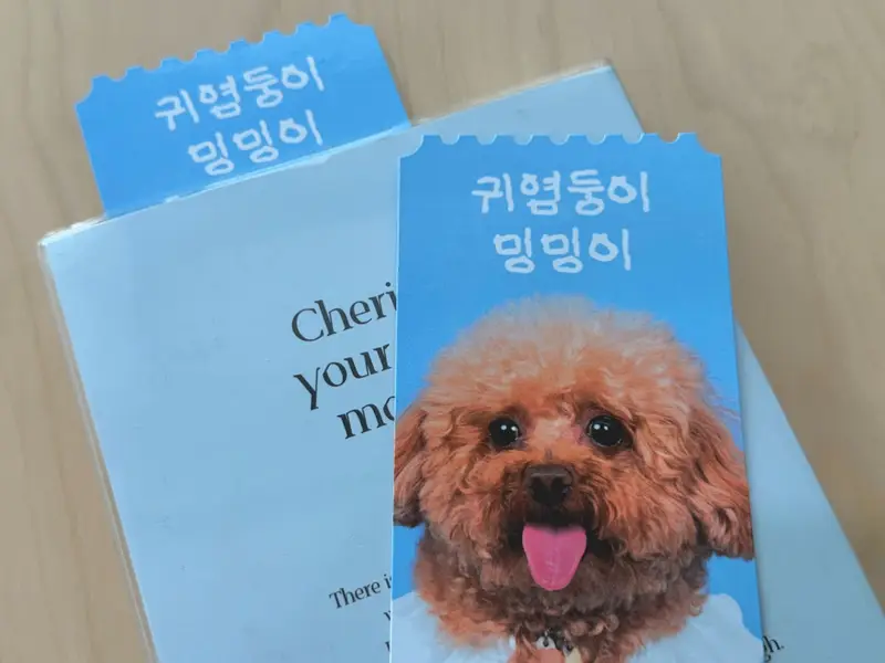 M형 티켓 14 x 7 cm 구매 제작 후기 저희 집 강아지 사진으로 M형 티켓을 커스텀 해 봤는데, 기대 이상으로 예쁘고 정말 만족스러웠어요!
앞면은 은은한 광택이 도는 코팅 마감 덕분에 실물로 보면 훨씬 더 고급스럽고, 인쇄 퀄리티도 아주 깔끔해요.
커스텀 과정도 간단해서 소중한 사진만 있으면 누구나 쉽게 만들 수 있다는 점이 큰 장점이에요.
귀여운 저희 집 강아지를 이렇게 예쁘게 간직할 수 있어서 더 특별하게 느껴졌어요.
세상에 하나뿐인 나만의 티켓이 된 기분! 소장용으로도, 선물용으로도 꼭 추천하고 싶어요 :)
* 직원이 실제 사용 후 작성한 리뷰입니다.- 마플 리얼 후기
