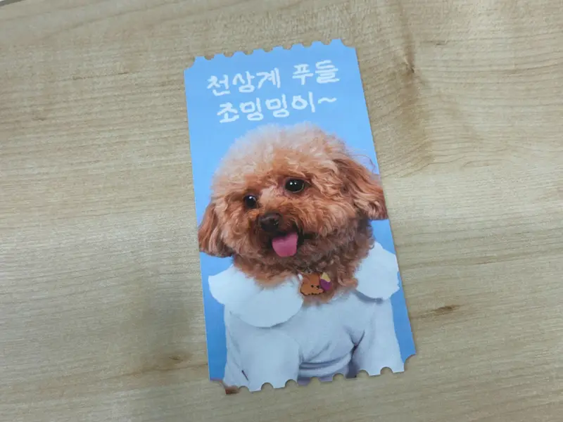 M형 티켓 14 x 7 cm 구매 제작 후기 저희 집 강아지 사진으로 M형 티켓을 커스텀 해 봤는데, 기대 이상으로 예쁘고 정말 만족스러웠어요!
앞면은 은은한 광택이 도는 코팅 마감 덕분에 실물로 보면 훨씬 더 고급스럽고, 인쇄 퀄리티도 아주 깔끔해요.
커스텀 과정도 간단해서 소중한 사진만 있으면 누구나 쉽게 만들 수 있다는 점이 큰 장점이에요.
귀여운 저희 집 강아지를 이렇게 예쁘게 간직할 수 있어서 더 특별하게 느껴졌어요.
세상에 하나뿐인 나만의 티켓이 된 기분! 소장용으로도, 선물용으로도 꼭 추천하고 싶어요 :)
* 직원이 실제 사용 후 작성한 리뷰입니다.- 마플 리얼 후기
