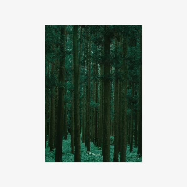 CALMNESS グッズ, forest 01 A3 poster