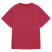 Comfort Colors 1717 Adult Tee