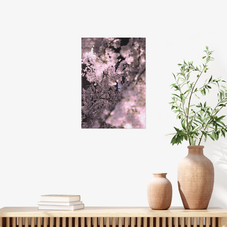 밤벚꽃 포스터 (A3), 마플샵 굿즈