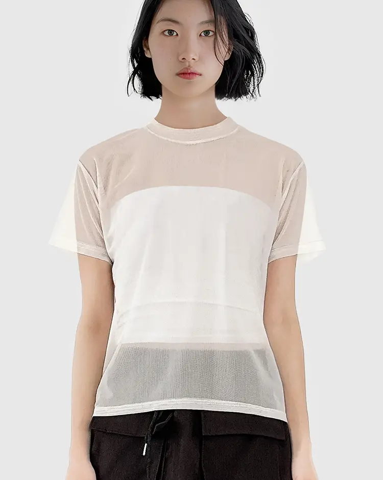 Sheer Short Sleeve Top