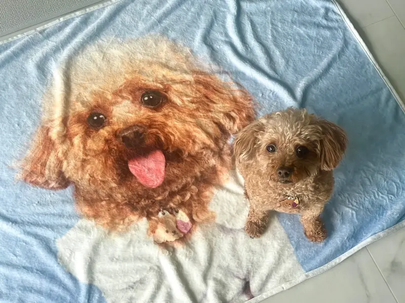横型両面マイクロファイバー毛布 (M) 100 x 70cm 購入 제작 후기 🐶私の子犬がプリントされた世界に一つだけのアイテム！ 🐶
ペット犬の写真でカスタマイズして注文しましたが、期待以上に満足しています！ 🎨✨

私よりも子犬をもっときれいにする私のお母さんは見るとすぐに「これは壁に歩かなければならない！」やりました… 😂
印刷は全体的にきれいによく出てきました。色味がオリジナルよりほんのり柔らかい感じですが、自然に表現されて満足でした。

注文プロセスも本当に簡単でした！好きな画像をアップロードしてデザインするのが直感的だから誰でも簡単に作れると思います。
素材もしっかりしながら肌触りが柔らかくて使い心地がいいです。特に子犬も肌触りが好きなのかどんどん来て楽しみに座っていますね。 🐾💛長く使えると思います。

何よりも我が家の子犬がそのまま込められているので見るたびにとても可愛くて気持ちいいですよ！ 🥰カスタム製品お悩みの方に強力おすすめです！ 💯

※スタッフが実際の使用後に作成したレビューです。- 마플 리얼 후기
