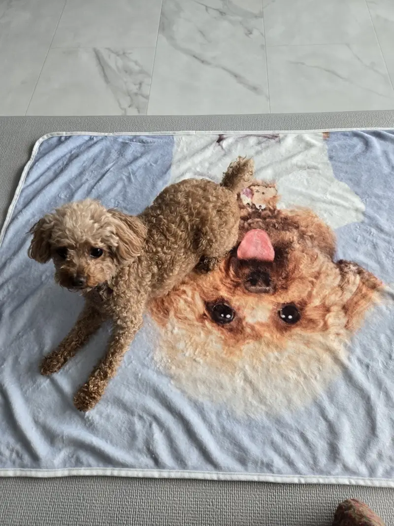 横型両面マイクロファイバー毛布 (M) 100 x 70cm 購入 제작 후기 🐶私の子犬がプリントされた世界に一つだけのアイテム！ 🐶
ペット犬の写真でカスタマイズして注文しましたが、期待以上に満足しています！ 🎨✨

私よりも子犬をもっときれいにする私のお母さんは見るとすぐに「これは壁に歩かなければならない！」やりました… 😂
印刷は全体的にきれいによく出てきました。色味がオリジナルよりほんのり柔らかい感じですが、自然に表現されて満足でした。

注文プロセスも本当に簡単でした！好きな画像をアップロードしてデザインするのが直感的だから誰でも簡単に作れると思います。
素材もしっかりしながら肌触りが柔らかくて使い心地がいいです。特に子犬も肌触りが好きなのかどんどん来て楽しみに座っていますね。 🐾💛長く使えると思います。

何よりも我が家の子犬がそのまま込められているので見るたびにとても可愛くて気持ちいいですよ！ 🥰カスタム製品お悩みの方に強力おすすめです！ 💯

※スタッフが実際の使用後に作成したレビューです。- 마플 리얼 후기