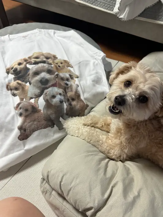 Printstar Premium Cotton Adult T-shirt Purchased 2XL 제작 후기 It's so cute! I don't need any more words, I'll just leave it as a photo. - 마플 리얼 후기 