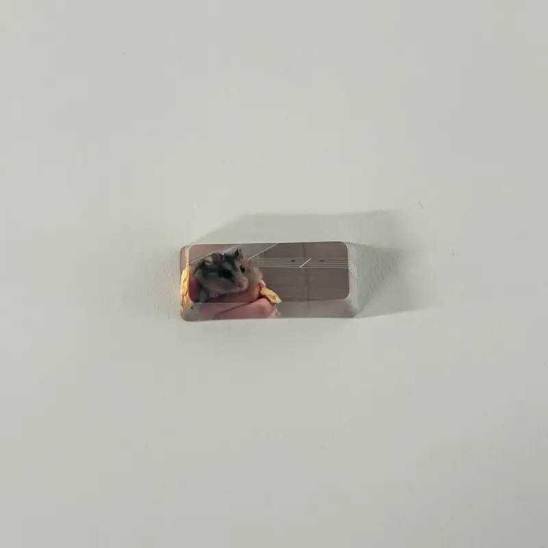Custom Full color Key Cap (Left Shift) Purchased 1.7 x 0.7 x 0.4 in 제작 후기 I made a keycap with a cute hamster picture 🐹🩷 It's great for adding a point to my dull keyboard>.< I was worried because I ordered a slightly dark picture, but the printing came out great!! As expected, the Marpple printing quality is the best!👍🏻 I think I'll feel the best when I type on my keyboard from now on : ) I'm very satisfied! *This is a review written by an employee after actual use.- 마플 리얼 후기