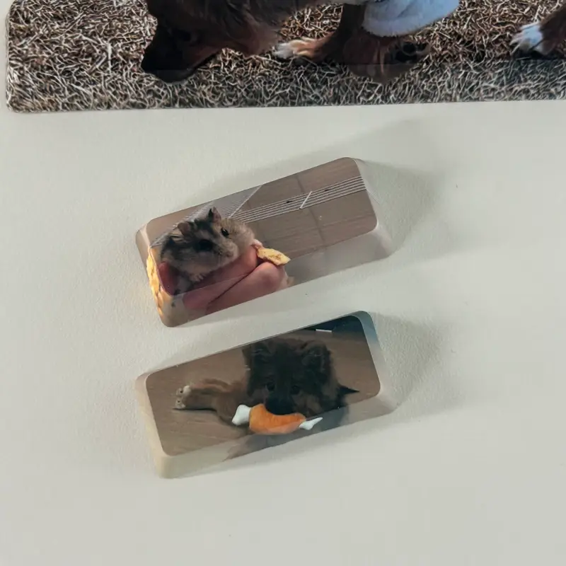Custom Full color Key Cap (Left Shift) Purchased 1.7 x 0.7 x 0.4 in 제작 후기 I made a keycap with a cute hamster picture 🐹🩷 It's great for adding a point to my dull keyboard>.< I was worried because I ordered a slightly dark picture, but the printing came out great!! As expected, the Marpple printing quality is the best!👍🏻 I think I'll feel the best when I type on my keyboard from now on : ) I'm very satisfied! *This is a review written by an employee after actual use.- 마플 리얼 후기