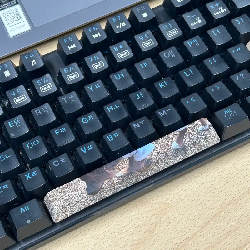 Custom Full color Key Cap (Space Bar) Purchased 4.7 x 0.7 x 0.5 in 제작 후기 I'm so happy that I can now customize special keys in Maple 🎉 It was hard to find special keycap customization on the market, so I'm so happy that I can make them so easily in Maple..💝💝 I bought all 3 types of special keys and there's nothing I don't like about them 🙊 All 3 are of the highest quality..👍🏻👍🏻 I'm happy that they added some liveliness to my dark keyboard 🐶 I highly recommend making keycaps with pictures of your pet >.< *This is a review written by an employee after actual use.- 마플 리얼 후기