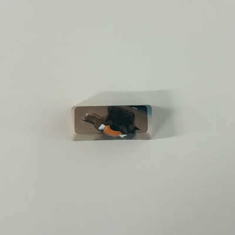Custom Full color Key Cap (Enter) Purchased 1.7 x 0.7 x 0.4 in 제작 후기 I think it's really great because the keycaps are printed in full color on the front! 🩷 No matter what picture you put in, it will be printed in high quality : ) I really, really like the enter key customization 👍🏻 I'm going to try it with other pictures!! I was even more satisfied because the delivery was fast! I should customize it right away and give it to my keyboard nerd friend as a gift 🕺🏻🕺🏻 * This is a review written by an employee after actually using it.- 마플 리얼 후기
