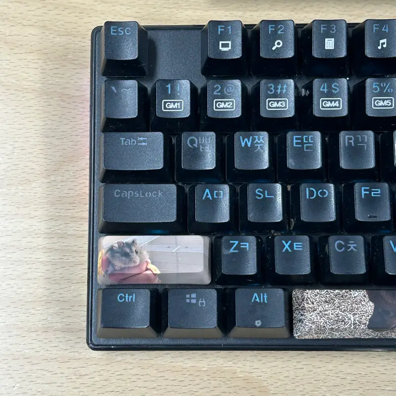 Custom Full color Key Cap (Left Shift) Purchased 1.7 x 0.7 x 0.4 in 제작 후기 I made a keycap with a cute hamster picture 🐹🩷 It's great for adding a point to my dull keyboard>.< I was worried because I ordered a slightly dark picture, but the printing came out great!! As expected, the Marpple printing quality is the best!👍🏻 I think I'll feel the best when I type on my keyboard from now on : ) I'm very satisfied! *This is a review written by an employee after actual use.- 마플 리얼 후기