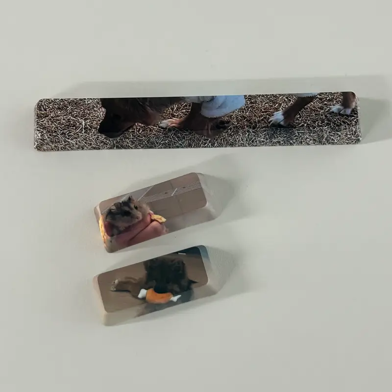 Custom Full color Key Cap (Enter) Purchased 1.7 x 0.7 x 0.4 in 제작 후기 I think it's really great because the keycaps are printed in full color on the front! 🩷 No matter what picture you put in, it will be printed in high quality : ) I really, really like the enter key customization 👍🏻 I'm going to try it with other pictures!! I was even more satisfied because the delivery was fast! I should customize it right away and give it to my keyboard nerd friend as a gift 🕺🏻🕺🏻 * This is a review written by an employee after actually using it.- 마플 리얼 후기