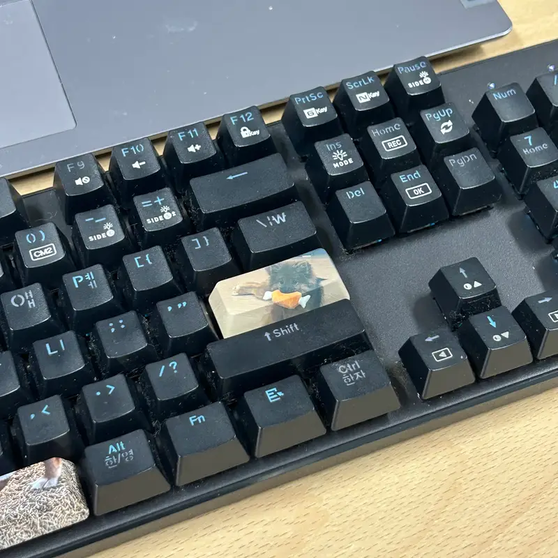 Custom Full color Key Cap (Enter) Purchased 1.7 x 0.7 x 0.4 in 제작 후기 I think it's really great because the keycaps are printed in full color on the front! 🩷 No matter what picture you put in, it will be printed in high quality : ) I really, really like the enter key customization 👍🏻 I'm going to try it with other pictures!! I was even more satisfied because the delivery was fast! I should customize it right away and give it to my keyboard nerd friend as a gift 🕺🏻🕺🏻 * This is a review written by an employee after actually using it.- 마플 리얼 후기