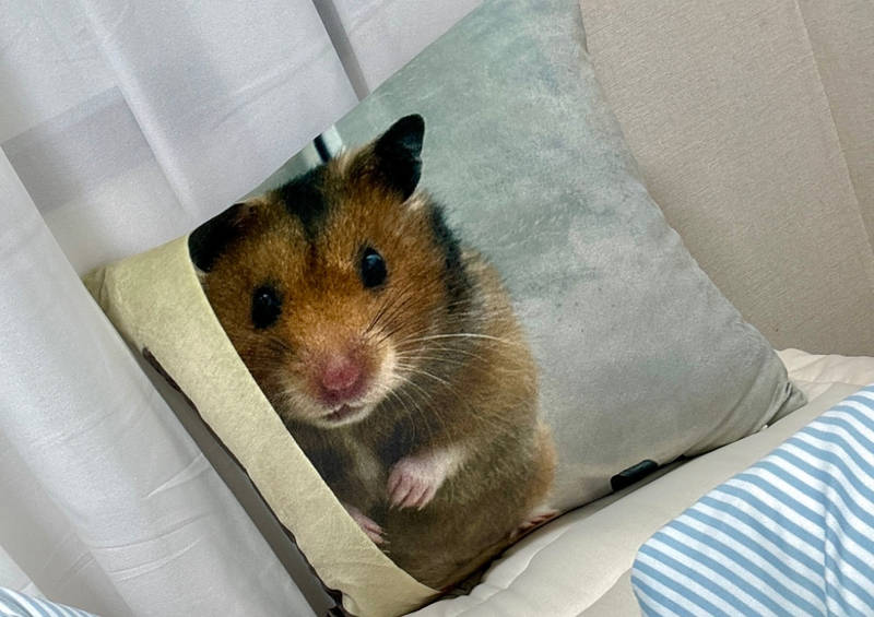 Velboa Modern Cushion (M) Purchased M (15.7x 15.7 inch) 제작 후기 The cushion cover is made of soft and firm material, so it feels good to the touch, and the inner cushion is soft and voluminous, so it was satisfactory not only as an interior decoration but also for actual use. The cover can be separated with a zipper, so it is easy to wash, which felt practical. 
This review was written after actually using the product that was provided as part of the Maple Supporters activity. 
- 마플 리얼 후기