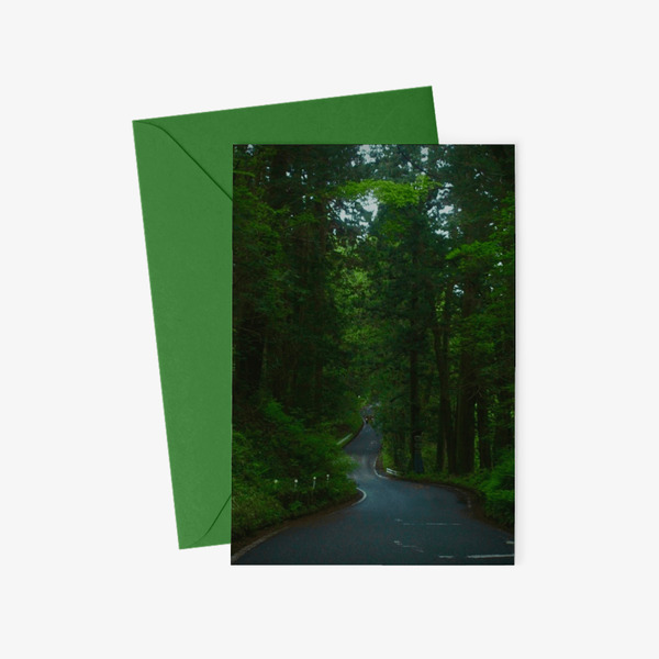 이일삼213 Sticker, A leafy shade poster card