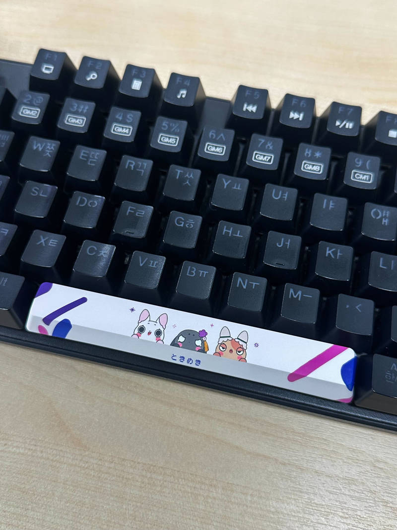 Custom Full color Key Cap (Space Bar) Purchased 4.7 x 0.7 x 0.5 in 제작 후기 When making the spacebar, I wrote in the request that I want the characters to fit perfectly on a line so that the part doesn't pop out, and it was exactly what I wanted!! ㅎㅎ The color expression is really good and the printing quality is awesome ㅎㅎ I want to get a full set of other keycaps~~ *This is a review written by an employee after actual use.- 마플 리얼 후기