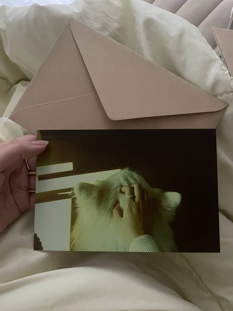 Big Postcard + Envelope (Horizontal) Purchased 6.9 x 4.5 inch 제작 후기 I made a lot of these with photos I took while I was in Jeju Island, and I liked the large size, and the printing went well with both the color and image quality ㅎㅎ Postcards are the easiest to make (they're all easy, but this is the best) and the least burdensome! They're also the most practical, so if this is your first time making goods, I highly recommend this big postcard envelope set!!! I really like them, and they look pretty no matter where you put them!!! I recommend them for home decoration and as gifts🤍✌️ . 
. 
This is a review written after actually using the product that was provided as part of the Maple Supporters activity.- 마플 리얼 후기
