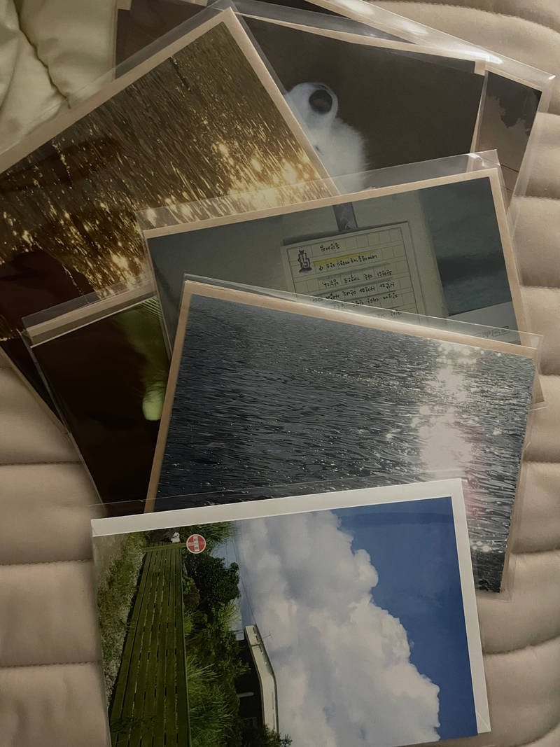 Big Postcard + Envelop (Vertical) Purchased 4.5 x 6.9 inch 제작 후기 I made a lot of these with photos I took while I was in Jeju Island, and I liked the large size, and the printing went well with both the color and image quality ㅎㅎ Postcards are the easiest to make (they're all easy, but this is the best) and the least burdensome! They're also the most practical, so if this is your first time making goods, I highly recommend this big postcard envelope set!!! I really like them, and they look pretty no matter where you put them!!! I recommend them for home decoration and as gifts🤍✌️ . 
. 
This is a review written after actually using the product that was provided as part of the Maple Supporters activity.- 마플 리얼 후기
