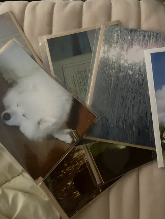 Big Postcard + Envelope (Horizontal) Purchased 6.9 x 4.5 inch 제작 후기 I made a lot of these with photos I took while I was in Jeju Island, and I liked the large size, and the printing went well with both the color and image quality ㅎㅎ Postcards are the easiest to make (they're all easy, but this is the best) and the least burdensome! They're also the most practical, so if this is your first time making goods, I highly recommend this big postcard envelope set!!! I really like them, and they look pretty no matter where you put them!!! I recommend them for home decoration and as gifts🤍✌️ .
.
This is a review written after actually using the product that was provided as part of the Maple Supporters activity. - 마플 리얼 후기