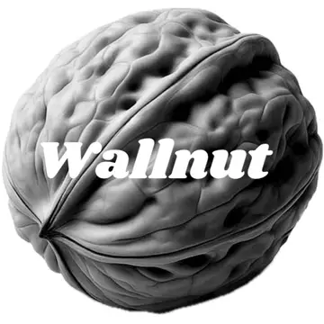 WALLNUT 클라이밍