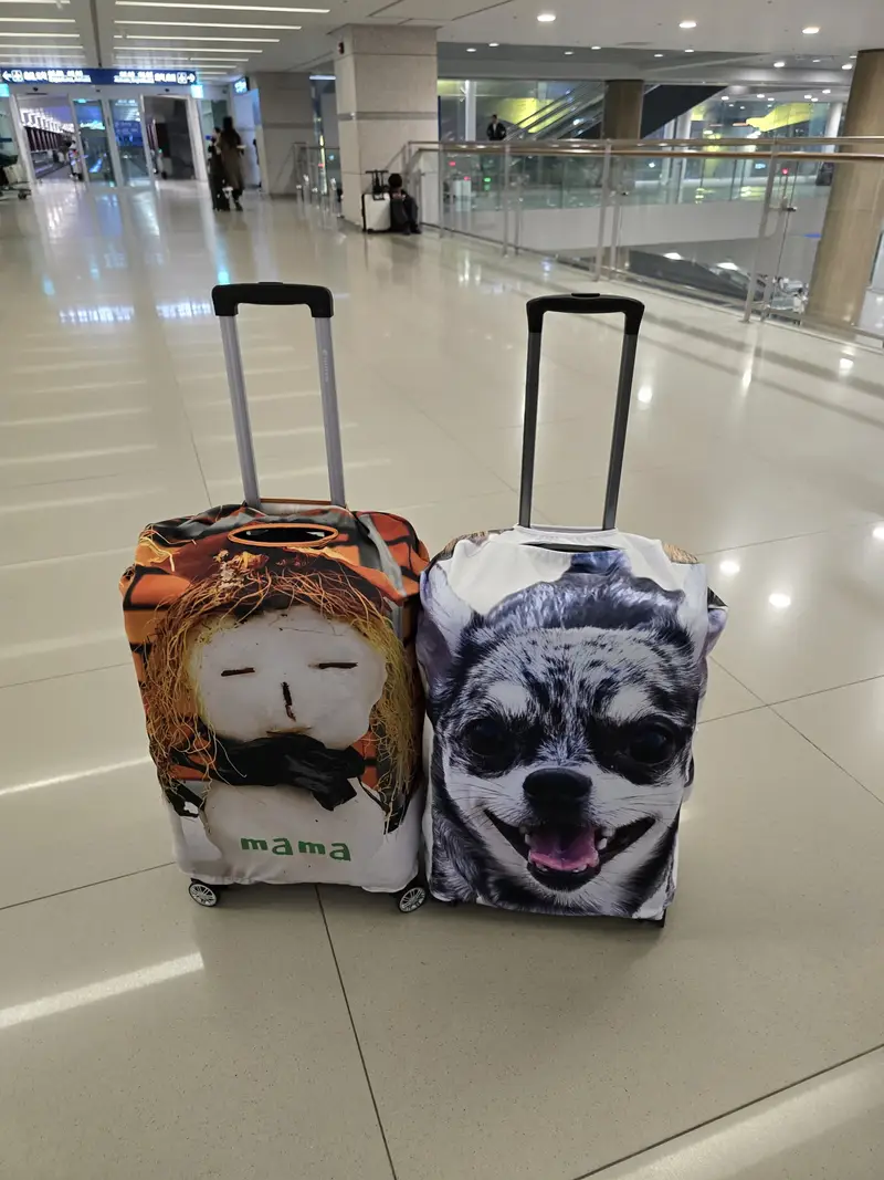 Personalized Spandex Travel Luggage Cover  Purchased L 제작 후기 I absolutely love it. 
It's so convenient and nice to find luggage. You can see it at a glance. 
It's a little big for 24 inches. I think it needs some elastic at the bottom! 

The best👍👍- 마플 리얼 후기