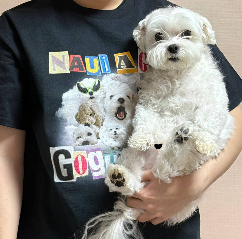 Gildan Ultra Cotton 2000 Adult T-shirt Purchased S / L 제작 후기 It came out just like the printed pattern, and it's even cuter in person ( ˵ ⌒ ⌒˵) I was going to wear it as pajamas, but it didn't have much stretch, so I think it was a good decision to buy one size larger!- 마플 리얼 후기