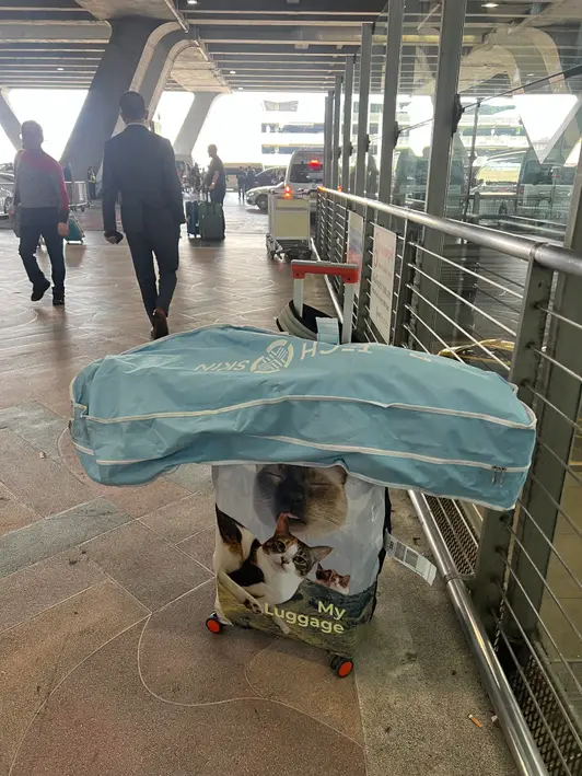 Personalized Spandex Travel Luggage Cover  Purchased L 제작 후기 I feel like I've been abroad with my furry siblings. 
I regret that I didn't know and only printed the cross-section. ㅠㅠ 
I like it because it catches my eye when I'm looking for a carrier. - 마플 리얼 후기 