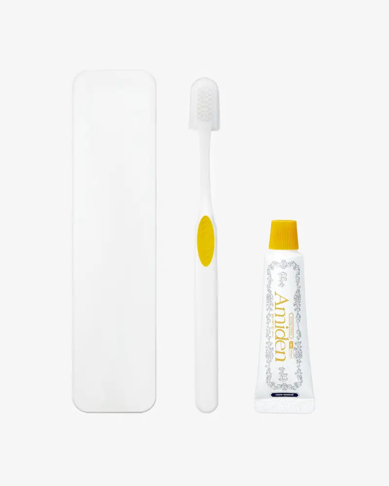 Dental Case Toothbrush Set